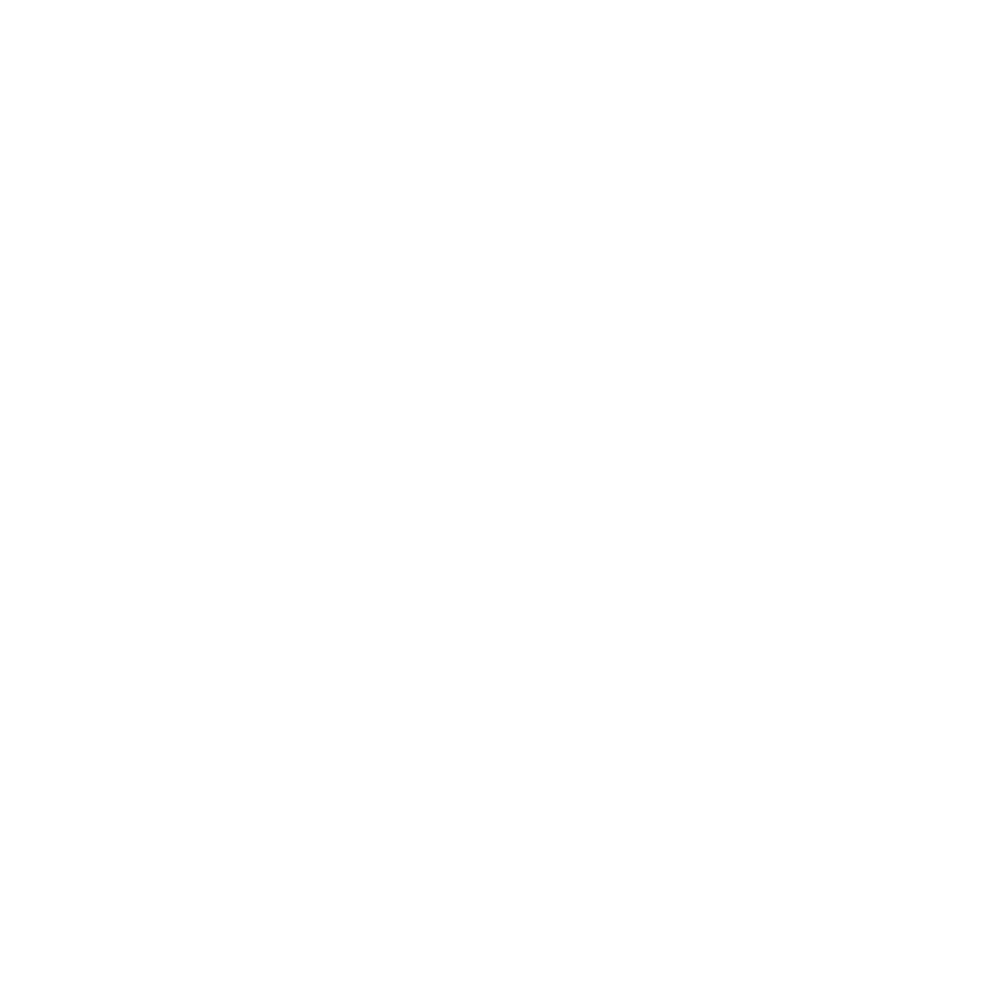 Jesus and Jiu-Jitsu logo